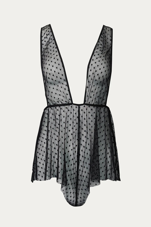 Colette Teddy